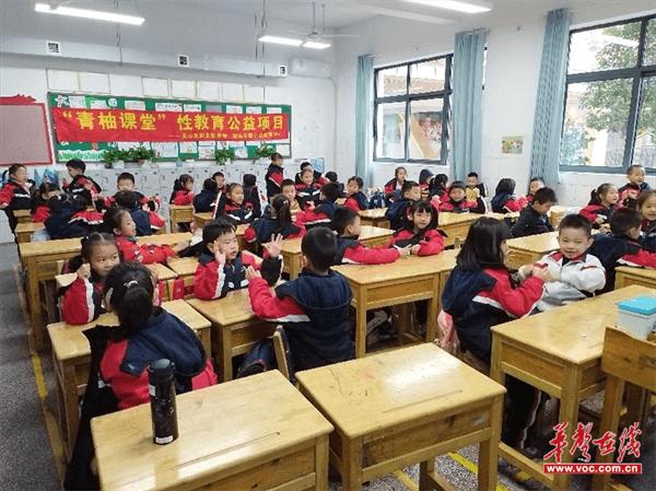 天心区青园梓枫小学：青柚课堂 开启一年级性教育新篇章