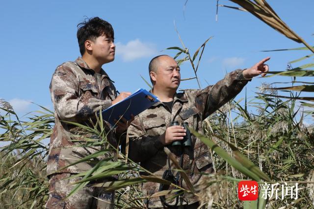 我为“强富美高”填密码·因湿地修复而美|“鹤爸”变湿地修复师，找到生态变美密码