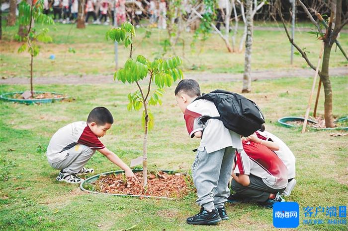 在玩中学，在学中玩 科普如何做“加法”？