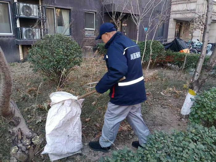 防寒营养餐，把好绿植越冬“健康关”