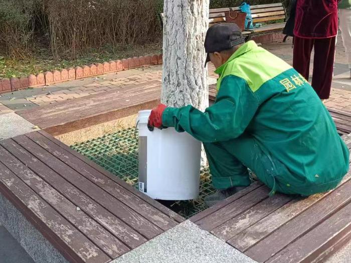 防寒营养餐，把好绿植越冬“健康关”