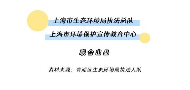 E案E说｜一而再，再而三，机动车排放检验机构屡教不改被刑拘