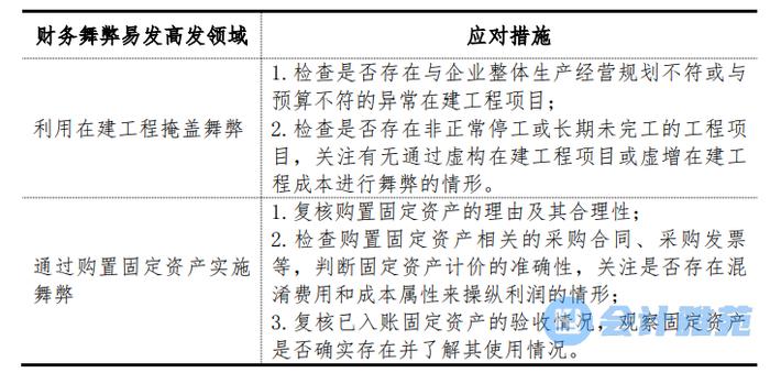 资本市场财务舞弊易发高发领域的审计应对--在建工程和购置资产