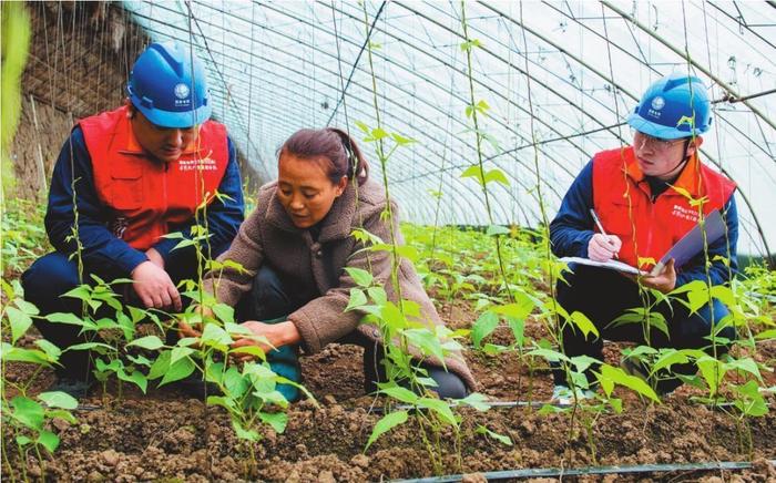 定期巡检保障冬季蔬菜大棚用电稳定