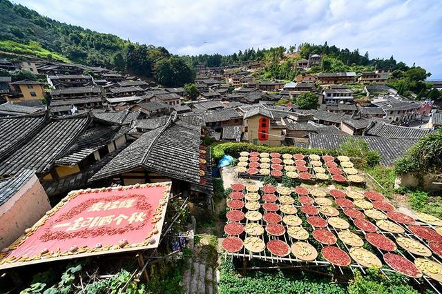 桂峰古村焕新“出圈”，沪明携手打响乡村旅游金字招牌