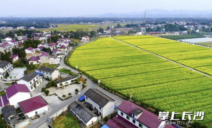 浏阳新增三家国家3A级旅游景区