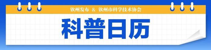 钦州科普日历丨冲锋衣真的不能机洗吗？到底怎么洗它才不会坏？