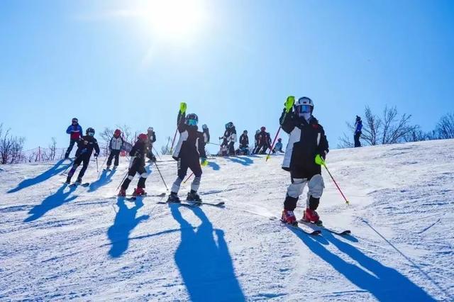 城市滑雪空间，来看嘉定的“冰雪奇缘”→