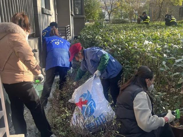 多措并举促提质，社区绽放文明之花