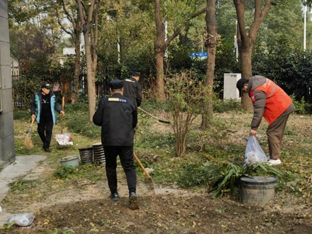 多措并举促提质，社区绽放文明之花