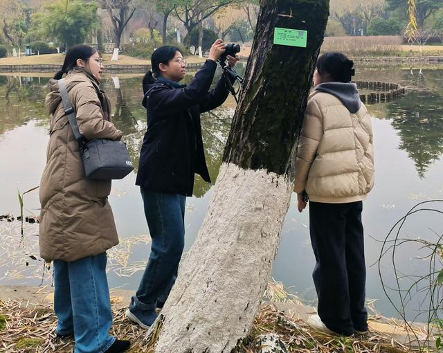 松江“摸家底”发现神秘生物，上海从未有记录