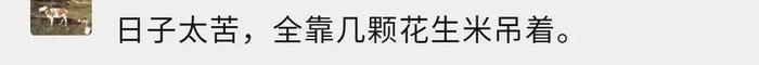 火了五年的陈皮花生，“流量密码”在广东？