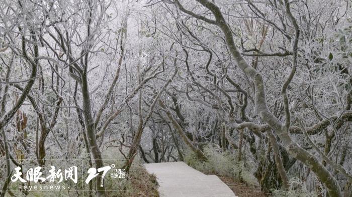 冬游贵州 别样风景｜登山赏雪 下山“泡汤”……冬天打开梵净山的另一种方式