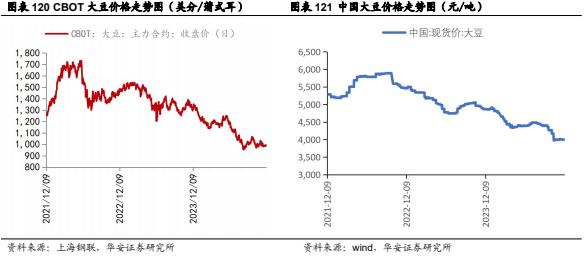 【华安证券·农林牧渔】行业年度/中期/季度投资策略：2025年农业投资策略：养殖链价格获支撑，宠物行业延续高景气