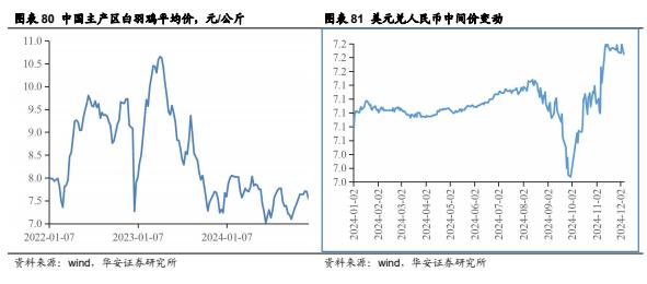 【华安证券·农林牧渔】行业年度/中期/季度投资策略：2025年农业投资策略：养殖链价格获支撑，宠物行业延续高景气