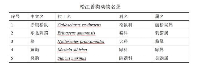 松江“摸家底”发现神秘生物，上海从未有记录