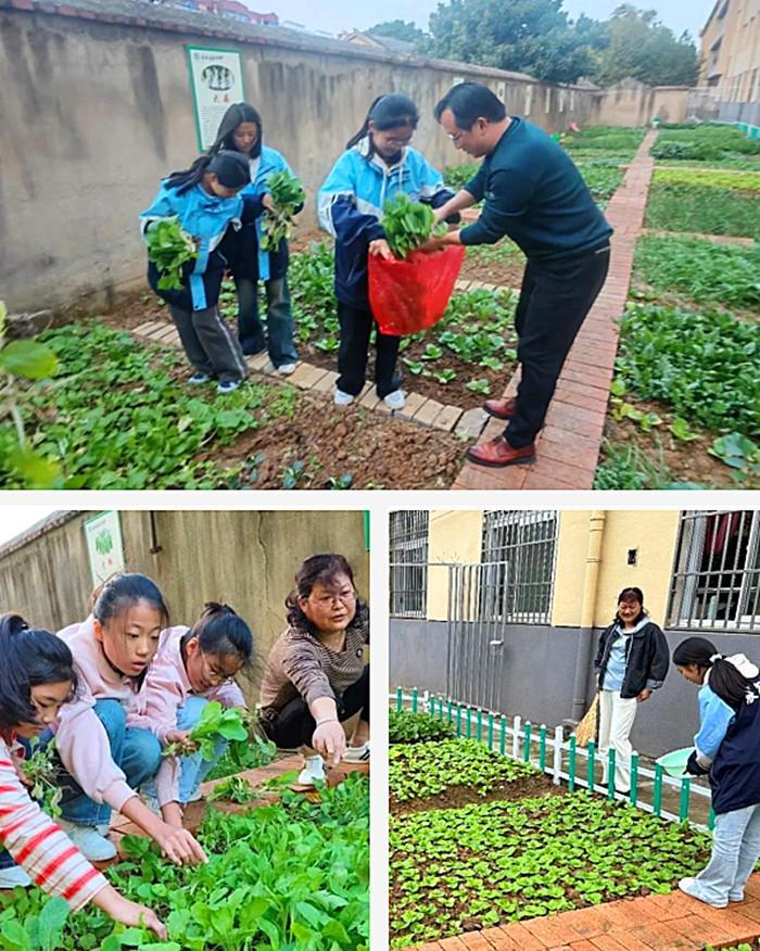 校园辟圃栽希望,学子荷锄育德馨——全椒县襄河中学劳动教育实践活动纪实