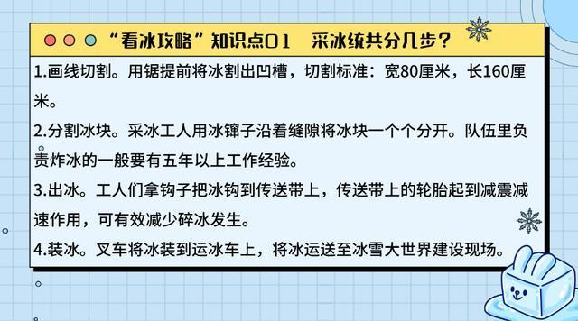 超级冰滑梯增至24条滑道，台阶扶手裹上绒布……尔滨的冰，原来“酱婶儿”的