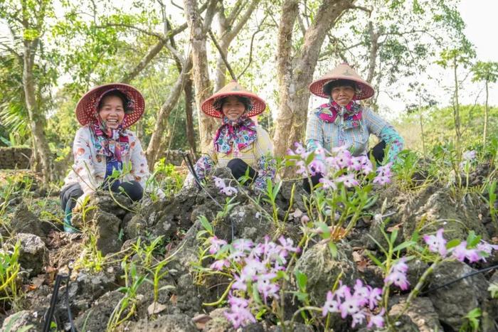 免税购物、留学海南、乡村建设……海南这份“成绩单”分量十足！