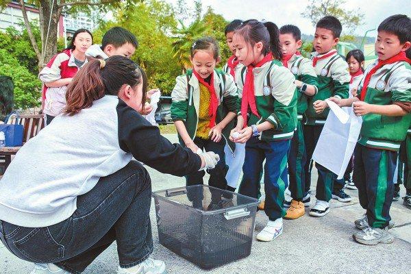 “温暖玉溪 益路童行”活动——护航困境儿童健康成长