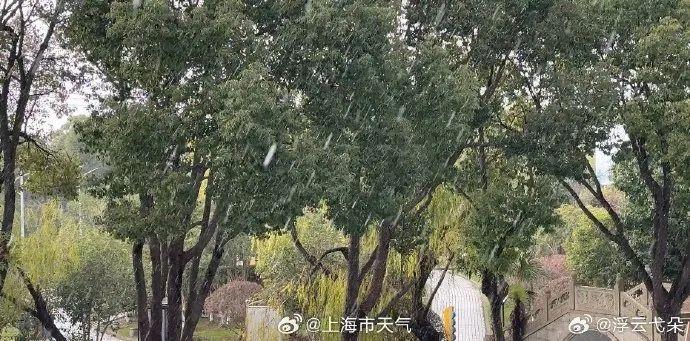 什么！上海刚刚下雪了？网友纷纷晒图，官方回应来了→