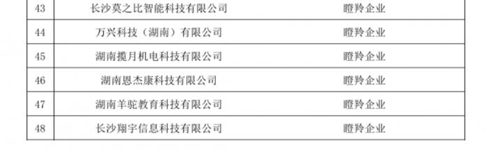 羊驼教育获评2024长沙市瞪羚企业，展现高速成长与创新实力