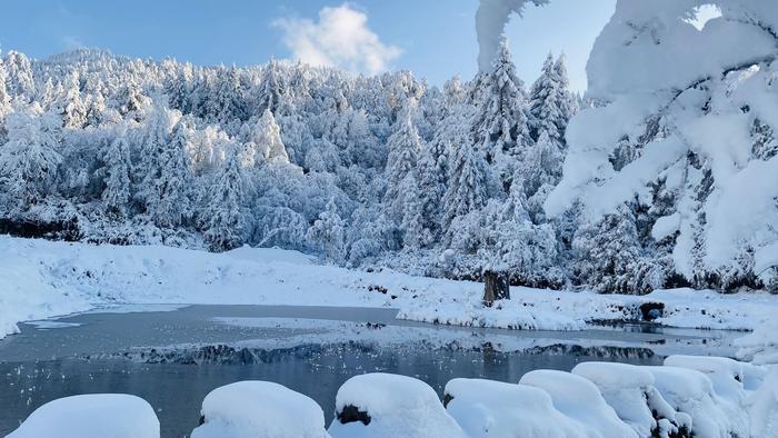 雅安森林戏雪：寻大熊猫、泡温泉、亲子研学丨冬游四川