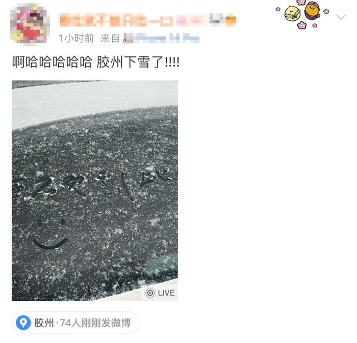 刚刚，青岛多地迎来降雪！网友沸腾了：今年冬天第一场大雪！