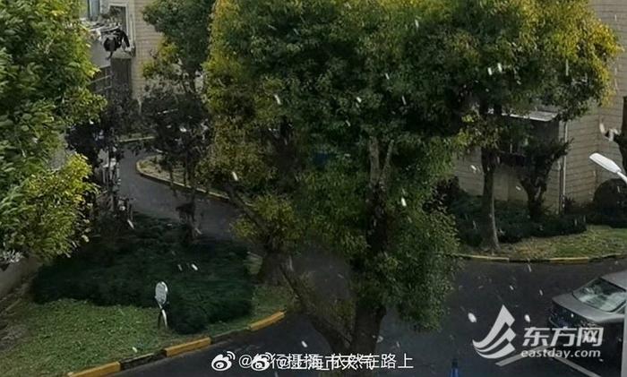 上海下冰雹了？市气象部门：冷锋过境撞上水汽，浦东等地区出现短时冰粒和霰粒子