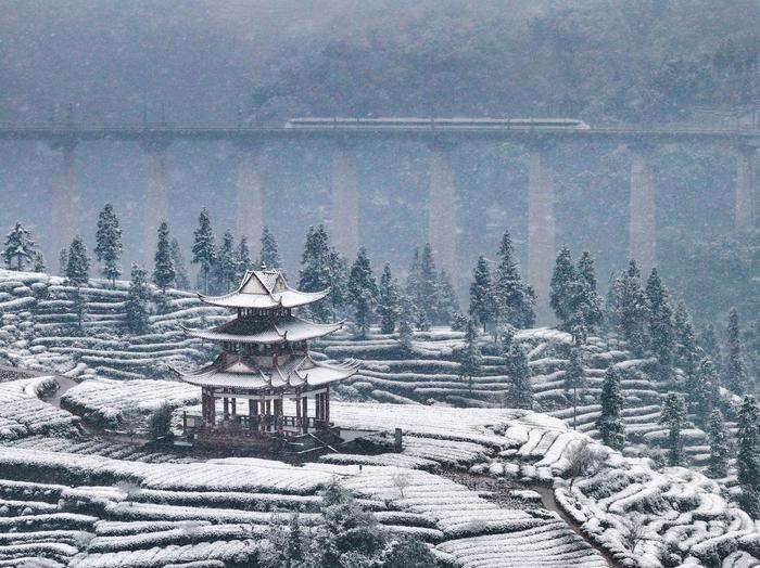 雅安森林戏雪：寻大熊猫、泡温泉、亲子研学丨冬游四川