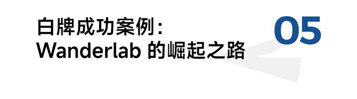 让消费者爱上你的品牌：白牌品牌如何赢得信任和市场？