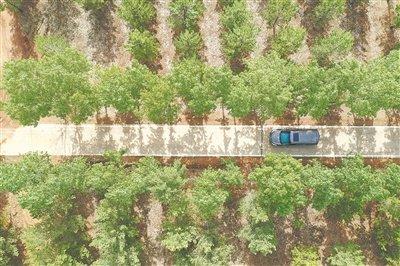 从不适宜人类生存到获得全球人居环境奖山西右玉：生态接力“扮靓”山川