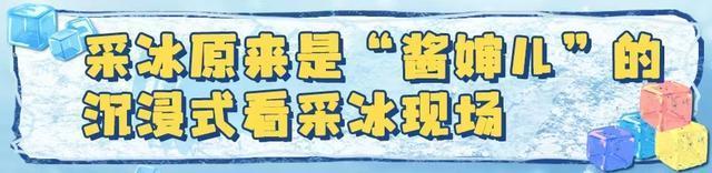 超级冰滑梯增至24条滑道，台阶扶手裹上绒布……尔滨的冰，原来“酱婶儿”的