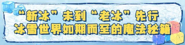 超级冰滑梯增至24条滑道，台阶扶手裹上绒布……尔滨的冰，原来“酱婶儿”的