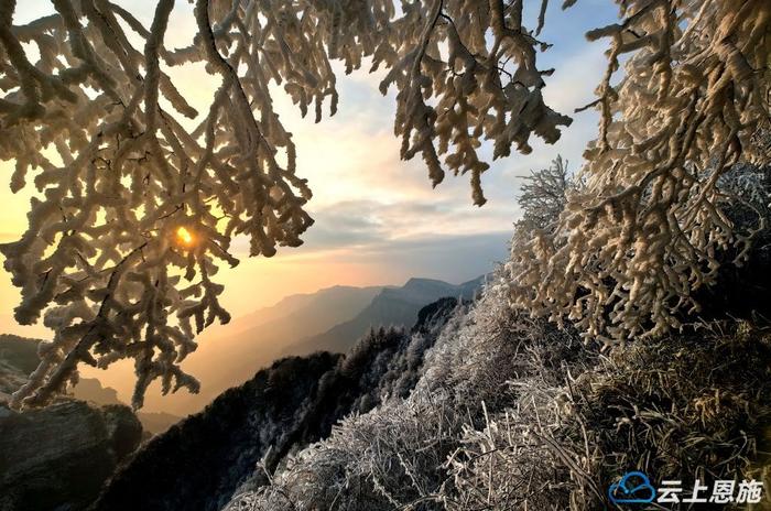 组图｜恩施建始：高岩子雾凇盛景 如诗如画冬韵浓