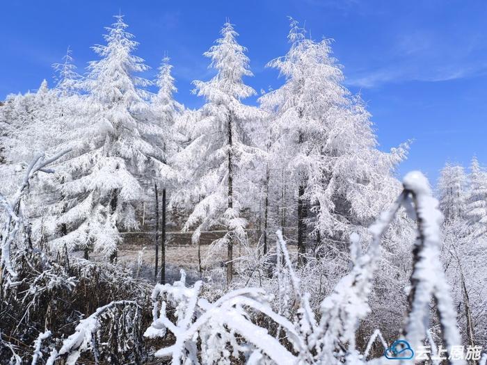 组图｜恩施建始：高岩子雾凇盛景 如诗如画冬韵浓