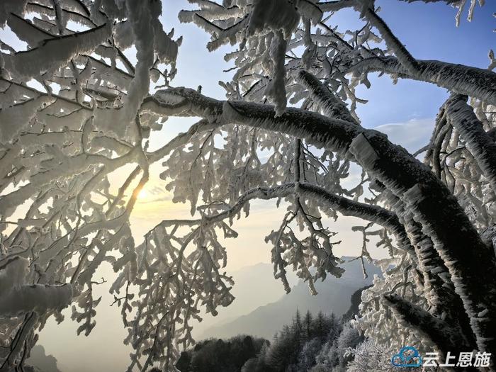 组图｜恩施建始：高岩子雾凇盛景 如诗如画冬韵浓