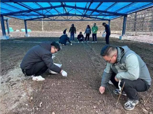 上海援青助力甘德种出群众的“致富草”