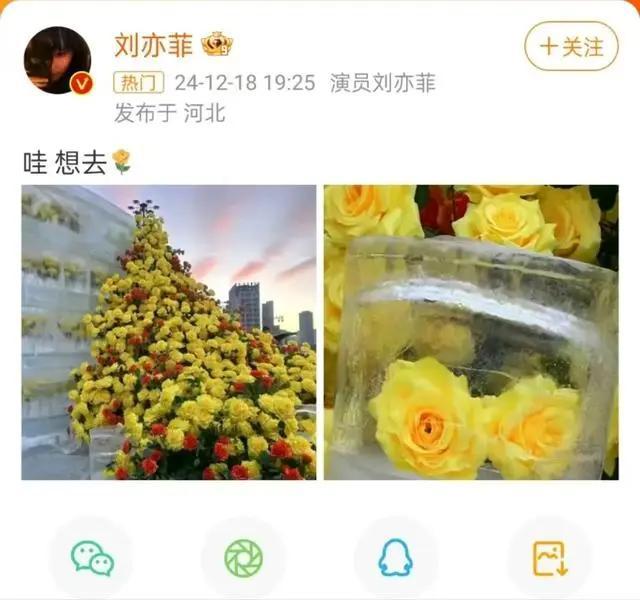 冲上热搜！哈尔滨文旅回复刘亦菲