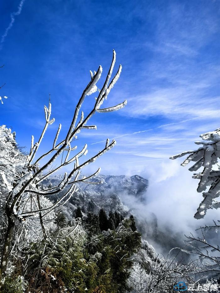 组图｜恩施建始：高岩子雾凇盛景 如诗如画冬韵浓