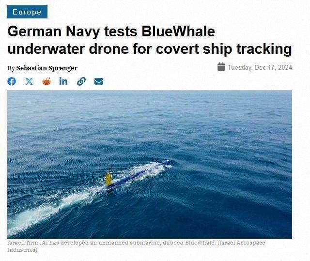 德国海军测试了“蓝鲸”(BlueWhale)水下无人机。(美国防务新闻网网站报道截图)
