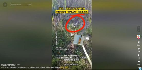【8点见】证监会发声:这些都是谣言!