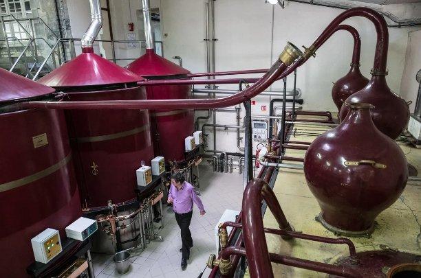 干邑厂商:马克龙承诺要跟中国谈,快去啊