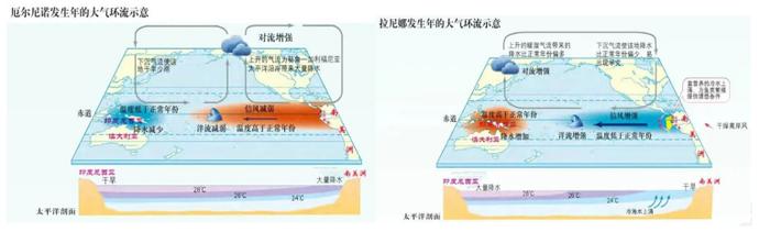 数据来源:公开资料整理、紫金天风期货