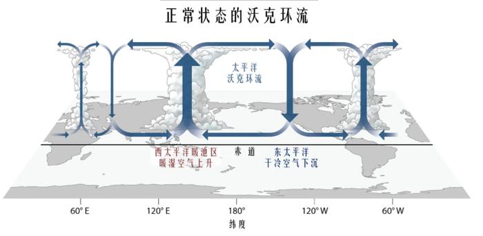 数据来源:公开资料整理、紫金天风期货