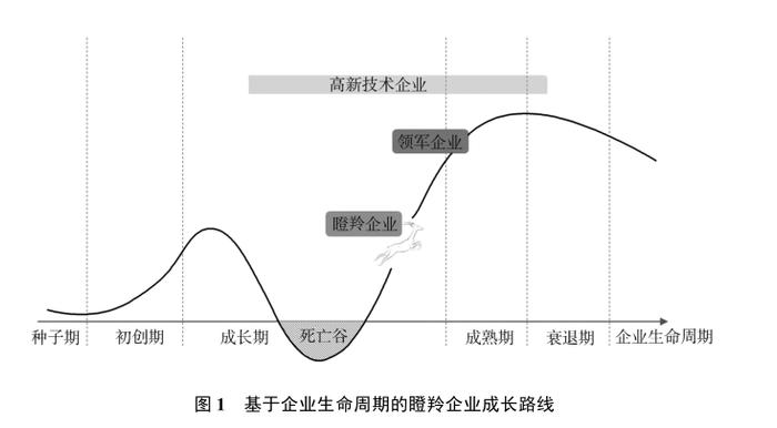 政府工作报告中的新词“瞪羚企业”，是什么意思？