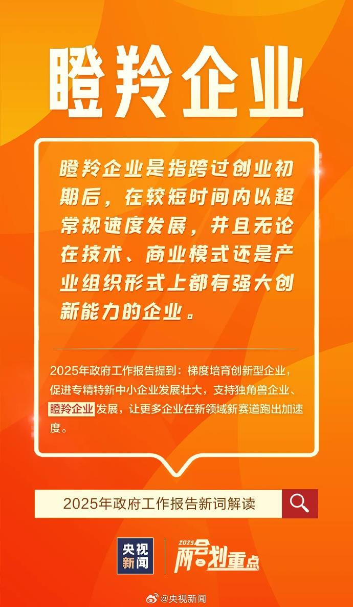 这些首次进入政府工作报告的新词是什么意思？解读来了