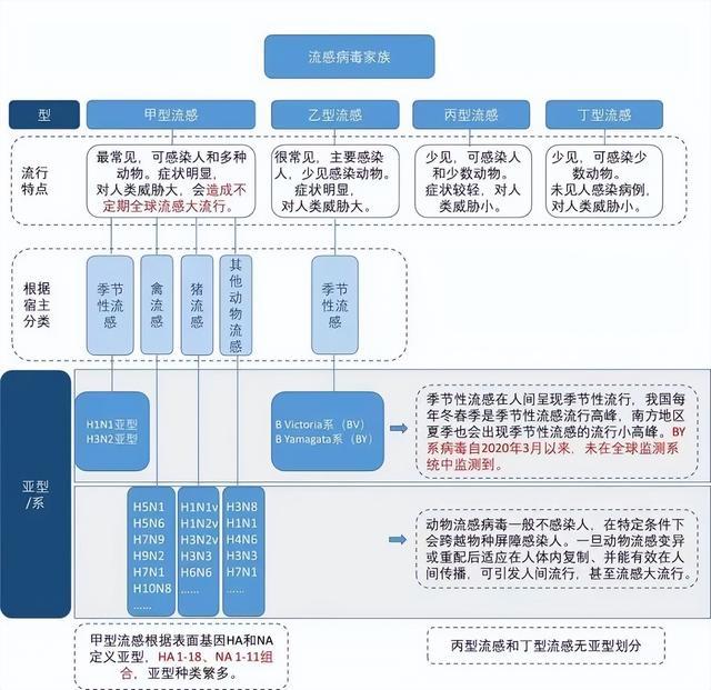 广东疾控报告流感暴发疫情1起，由甲型H1N1流感病毒引起