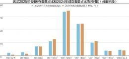 武汉楼市去库存压力缓解 “四代住宅”受追捧