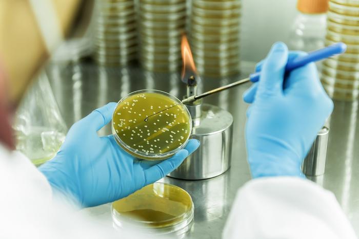【战新产业“百大工程”】招商局集团领航生物基聚酰胺创新突破 打造生物经济新引擎